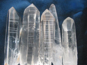 lemurian-seed