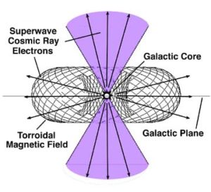 torus