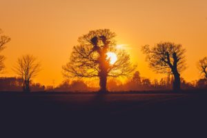 sunset-1669824_960_720