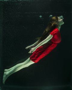 under-water-1819585_960_720